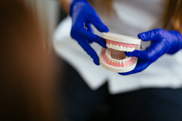 Rockledge, PA Dental Services Company