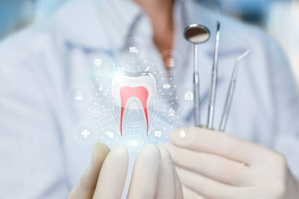 Best Preventive Dentistry  in Rockledge, PA